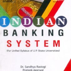 INDIAN BANKING SYSTEM